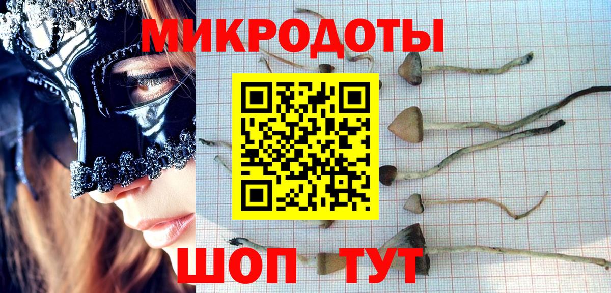 Можга  наркошоп  Псилоцибиновые грибы MAGIC MUSHROOMS  Вход с VPN  Галлюциногенные грибы ЛСД 