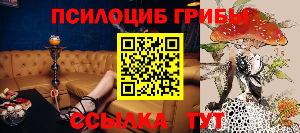 Псилоцибиновые грибы мицелий Можга